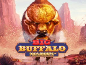 game logo by Skywind Group on casinoprestigeuk.com